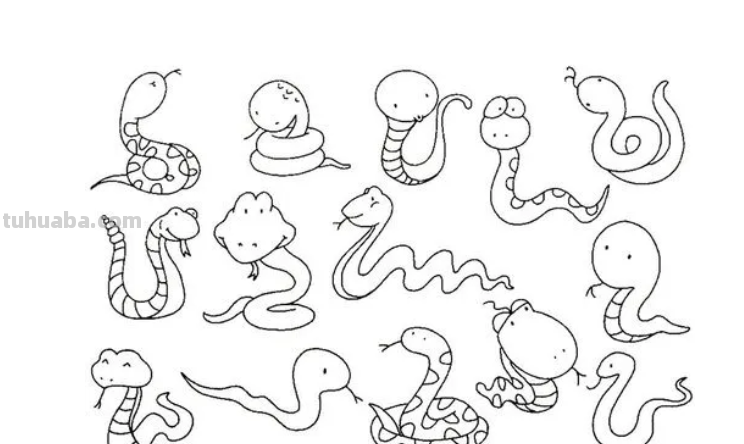 小蛇怎么画简单又可爱