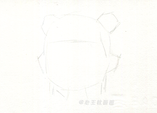 老鹰简笔画高清线稿资料，教孩子一起画