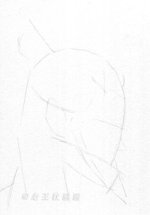 老鹰简笔画高清线稿资料，教孩子一起画