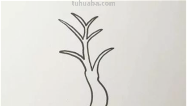 柳树怎么画简笔画图片