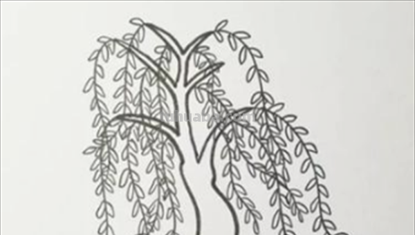 柳树怎么画简笔画图片