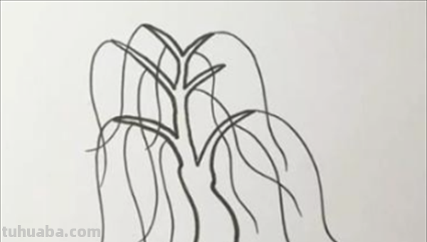 柳树怎么画简笔画图片