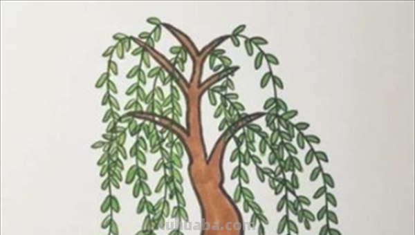 柳树怎么画简笔画图片