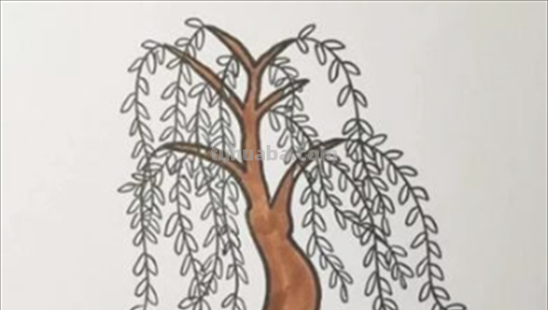 柳树怎么画简笔画图片