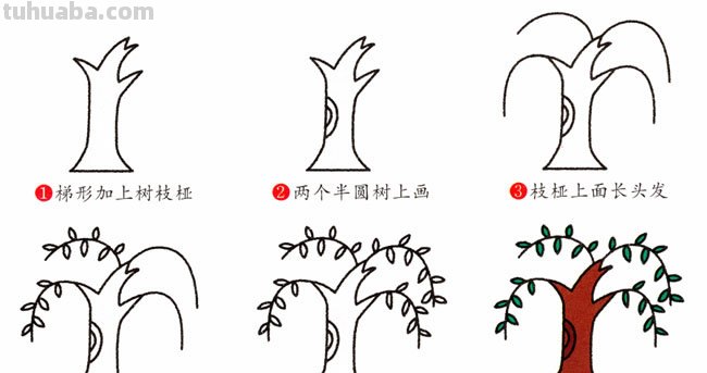 柳树简笔画10步完成