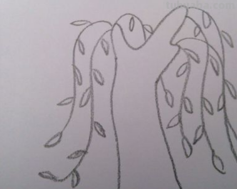 柳树简笔画10步完成