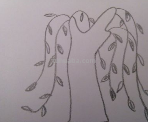 柳树简笔画10步完成