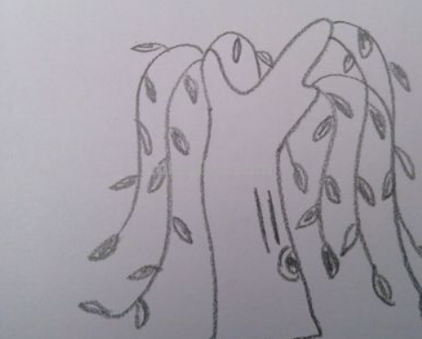 柳树简笔画10步完成