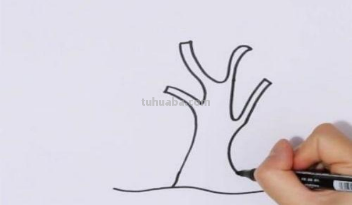 怎么画柳树简笔画