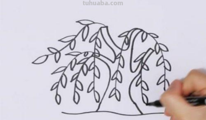 怎么画柳树简笔画