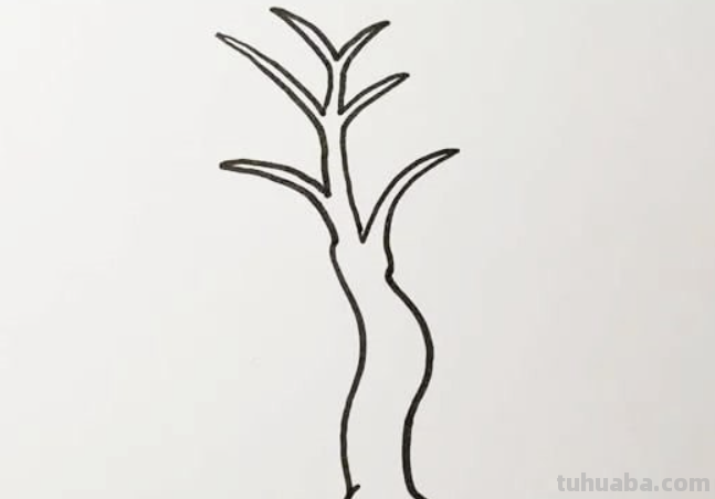 柳树的简笔画怎么画