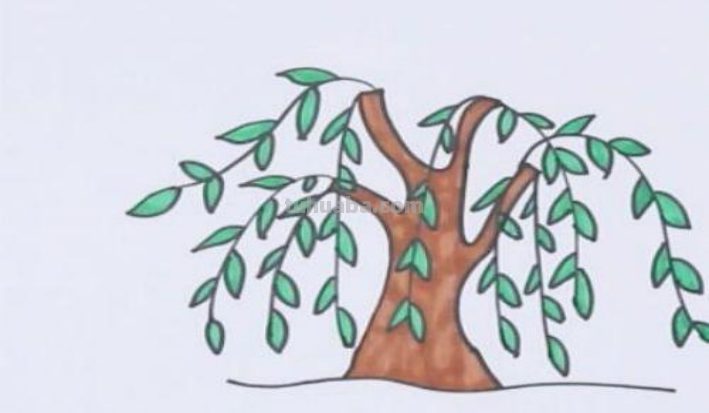 怎么画柳树简笔画