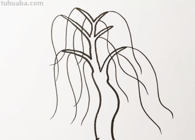 柳树的简笔画怎么画