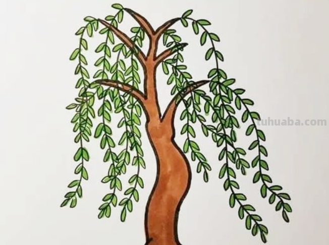 柳树的简笔画怎么画