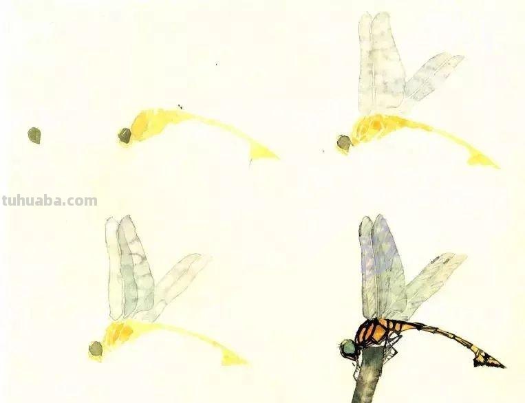 图文教程：没骨昆虫画法步骤