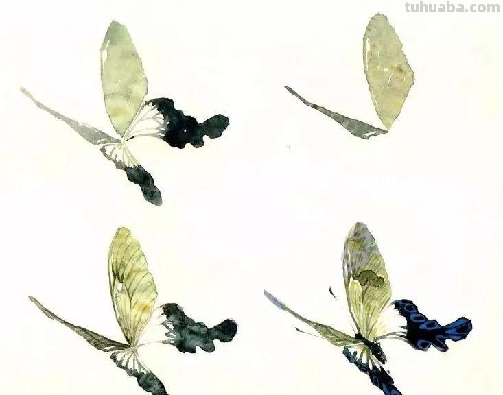 图文教程：没骨昆虫画法步骤