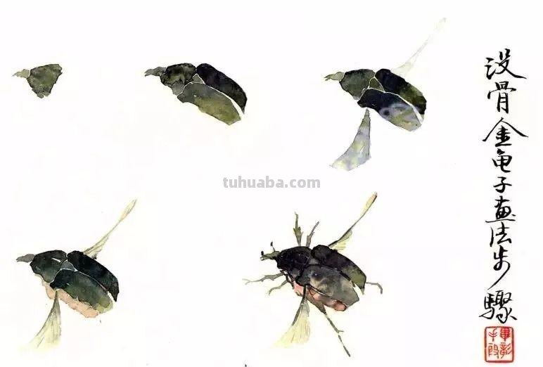图文教程：没骨昆虫画法步骤
