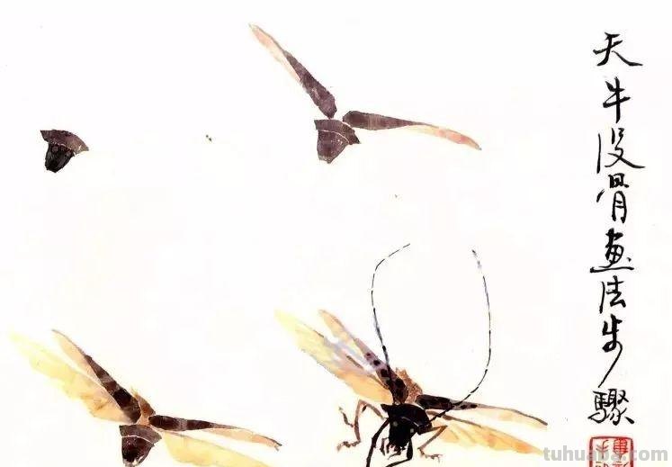 图文教程：没骨昆虫画法步骤