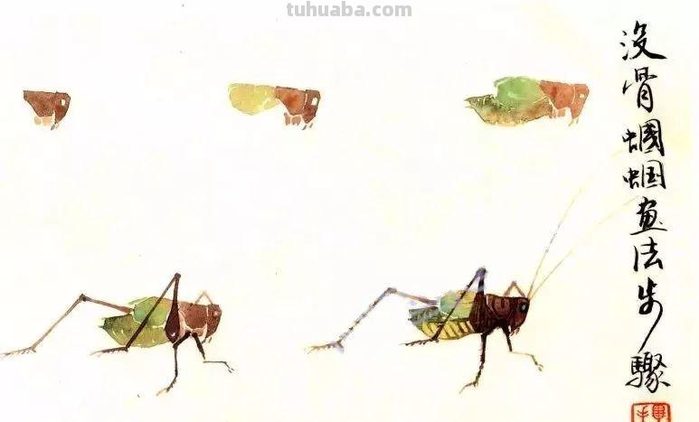 图文教程：没骨昆虫画法步骤