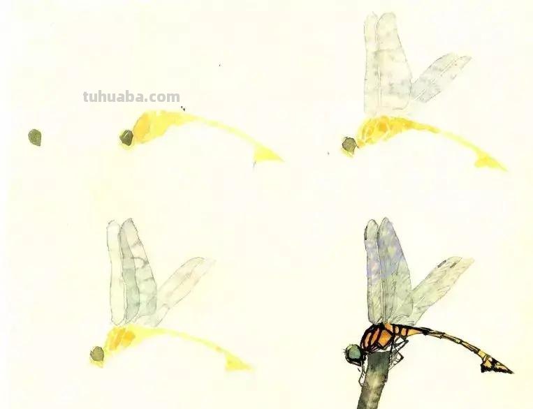 没骨昆虫画法步骤，超详细，你值得拥有！