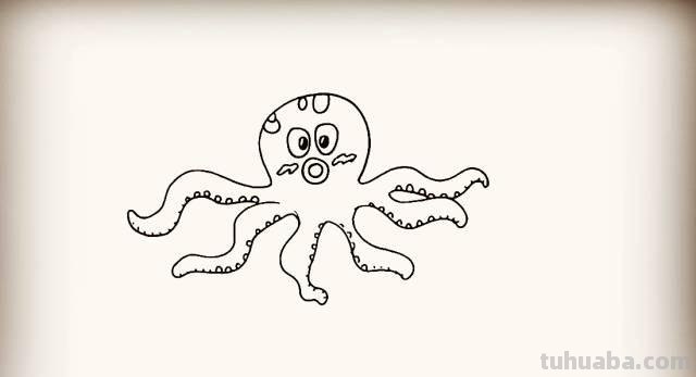「简笔画」儿童简笔画教程：章鱼篇~