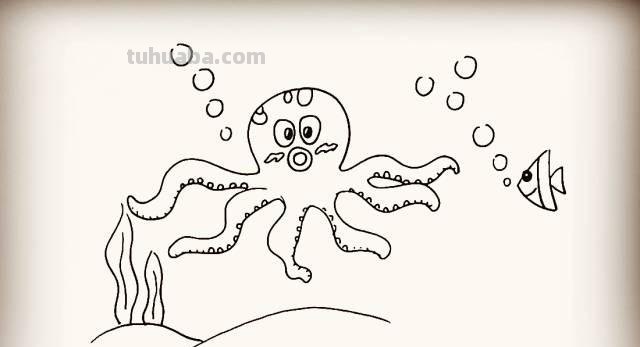 「简笔画」儿童简笔画教程：章鱼篇~