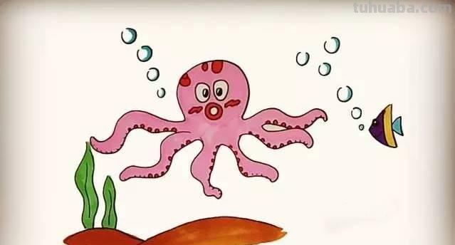 「简笔画」儿童简笔画教程：章鱼篇~