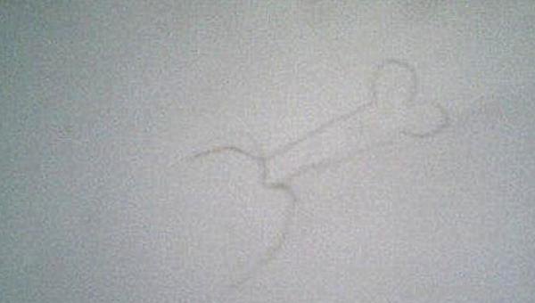鸡肉怎么画简笔画 肉用简笔画怎么画? 鸡肉怎么画简笔画 肉用简笔画怎么画?