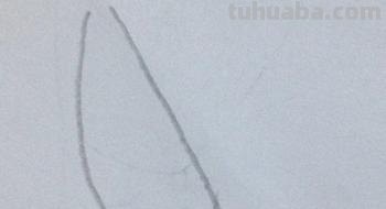 鸡肉怎么画简笔画 肉用简笔画怎么画? 鸡肉怎么画简笔画 肉用简笔画怎么画?