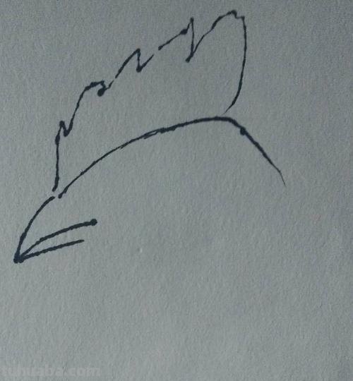 鸡肉怎么画简笔画 肉用简笔画怎么画? 鸡肉怎么画简笔画 肉用简笔画怎么画?