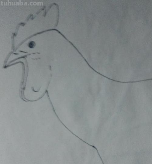 鸡肉怎么画简笔画 肉用简笔画怎么画? 鸡肉怎么画简笔画 肉用简笔画怎么画?
