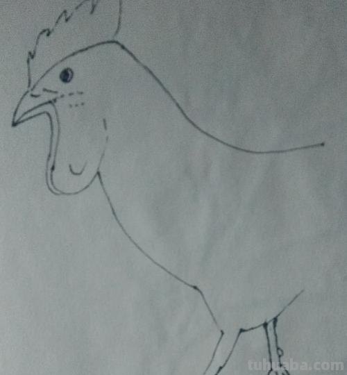 鸡肉怎么画简笔画 肉用简笔画怎么画? 鸡肉怎么画简笔画 肉用简笔画怎么画?