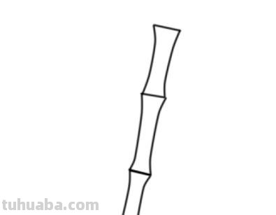 简笔画竹林怎么画 竹子简笔画怎么画竹子? 简笔画竹林怎么画 竹子简笔画怎么画竹子?