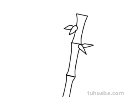 简笔画竹林怎么画 竹子简笔画怎么画竹子? 简笔画竹林怎么画 竹子简笔画怎么画竹子?