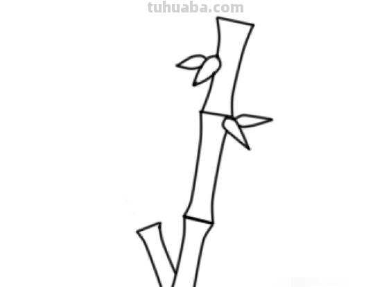 简笔画竹林怎么画 竹子简笔画怎么画竹子? 简笔画竹林怎么画 竹子简笔画怎么画竹子?