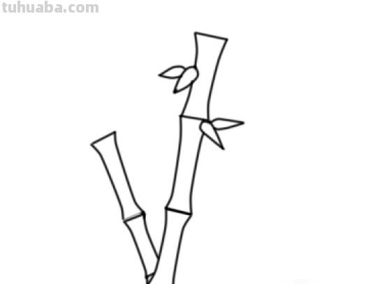 简笔画竹林怎么画 竹子简笔画怎么画竹子? 简笔画竹林怎么画 竹子简笔画怎么画竹子?