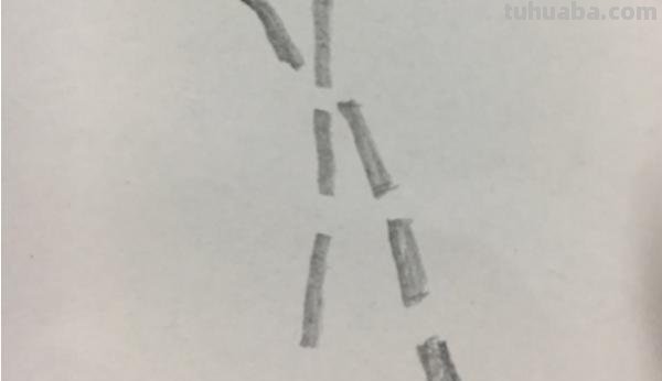 简笔画竹林怎么画 竹子简笔画怎么画竹子? 简笔画竹林怎么画 竹子简笔画怎么画竹子?