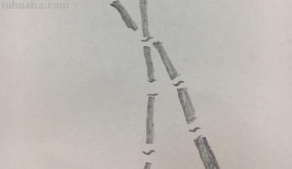 简笔画竹林怎么画 竹子简笔画怎么画竹子? 简笔画竹林怎么画 竹子简笔画怎么画竹子?