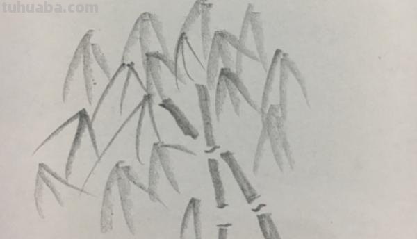 简笔画竹林怎么画 竹子简笔画怎么画竹子? 简笔画竹林怎么画 竹子简笔画怎么画竹子?