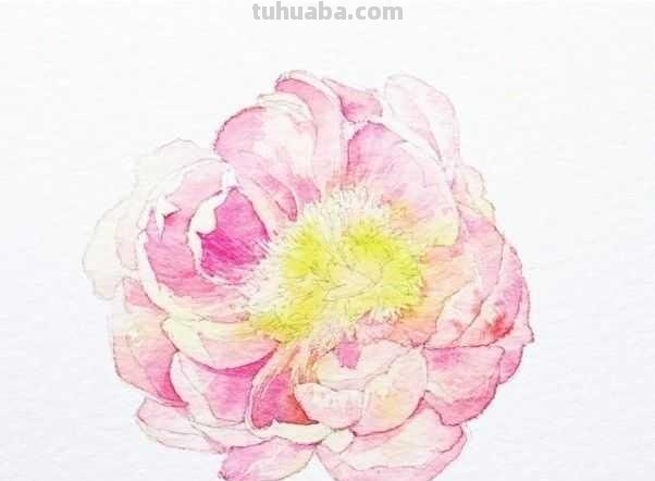 想要画好水彩画，一定要学会这些基础水彩绘画方法，简单易学！
