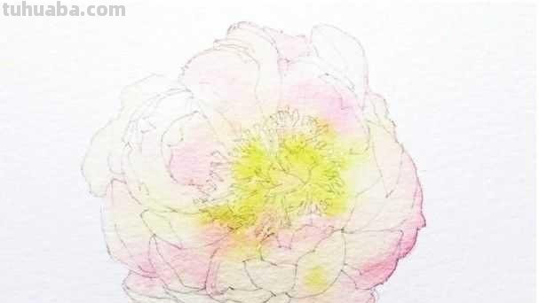 想要画好水彩画，一定要学会这些基础水彩绘画方法，简单易学！