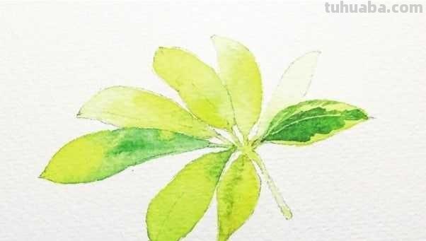 想要画好水彩画，一定要学会这些基础水彩绘画方法，简单易学！