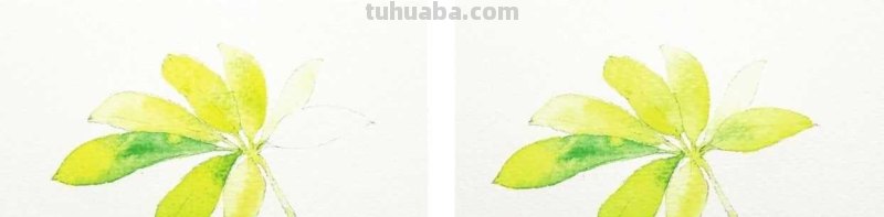 想要画好水彩画，一定要学会这些基础水彩绘画方法，简单易学！