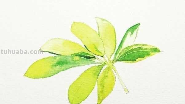 想要画好水彩画，一定要学会这些基础水彩绘画方法，简单易学！