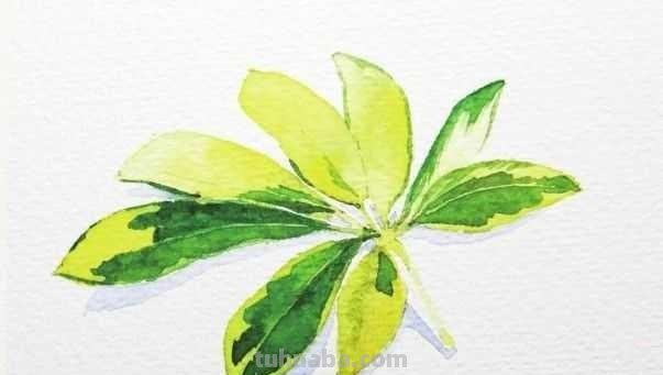 想要画好水彩画，一定要学会这些基础水彩绘画方法，简单易学！