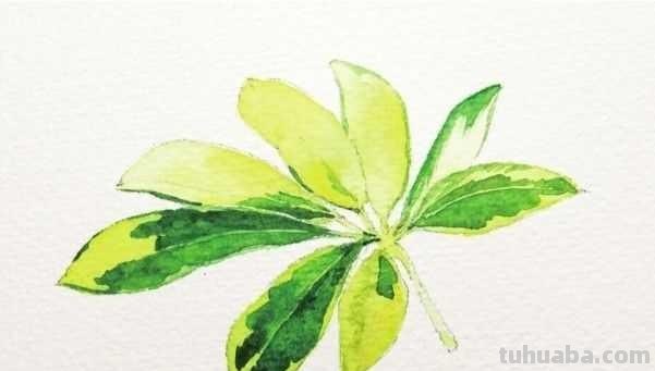 想要画好水彩画，一定要学会这些基础水彩绘画方法，简单易学！