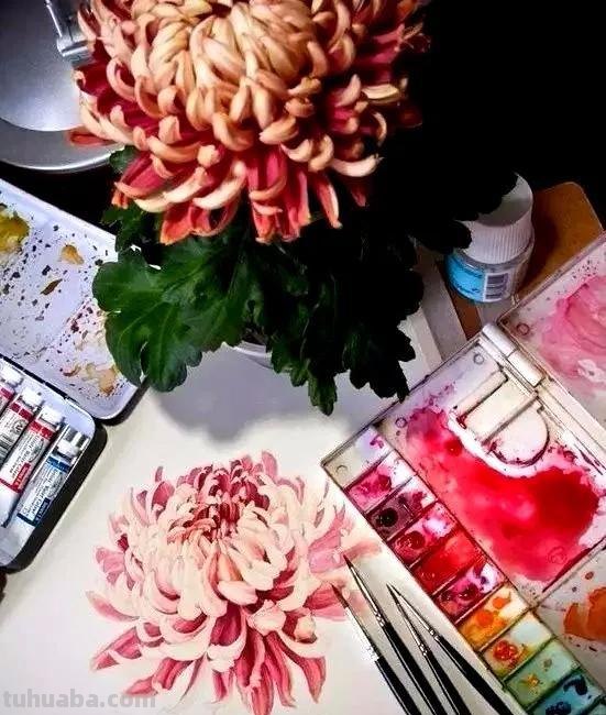 干货│画了那么多水彩，那水彩工具要怎么挑？