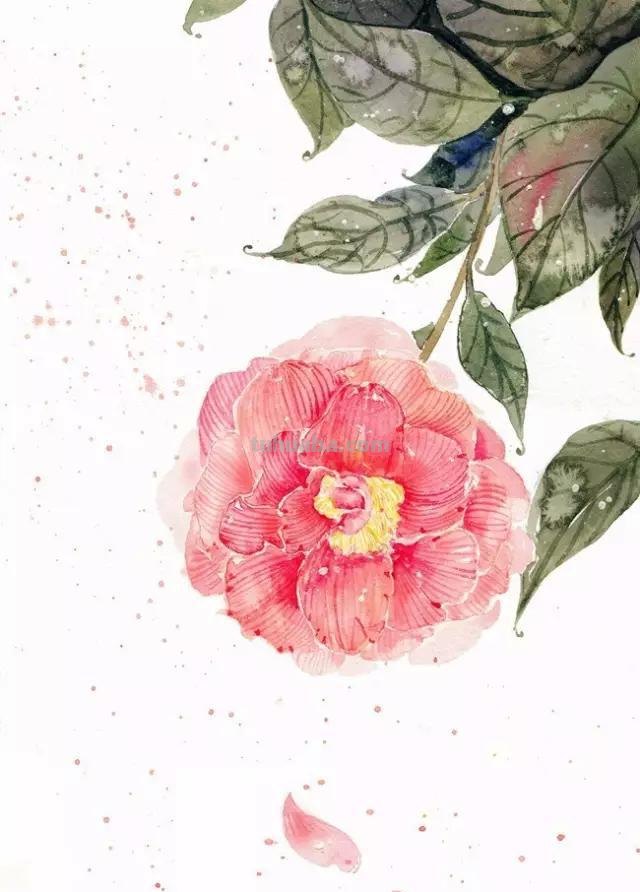 干货│画了那么多水彩，那水彩工具要怎么挑？