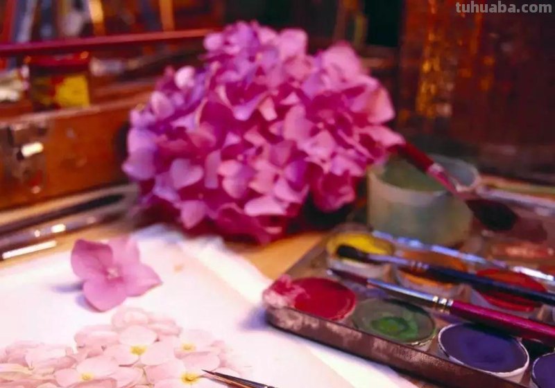 想学画画，到底该如何选择绘画工具？