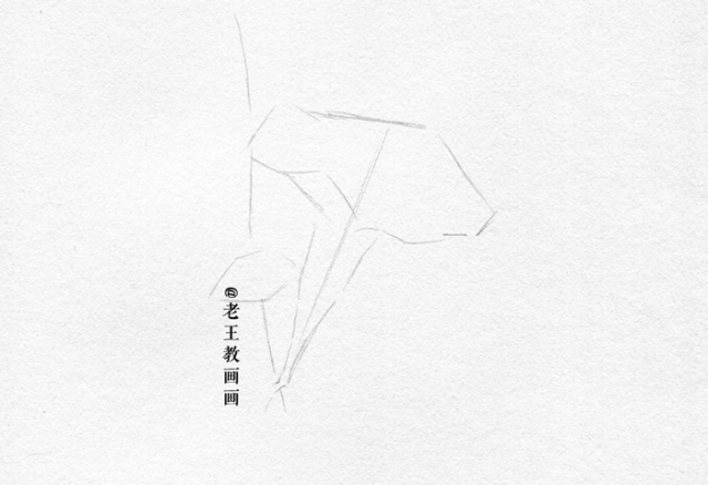 画画教程，只用1支铅笔，教你画一幅素描花卉